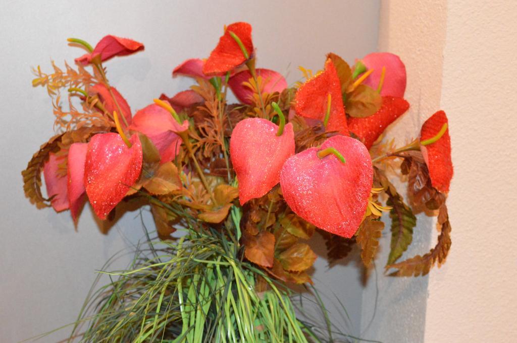 Appartement Timgad Gerardmer Room photo